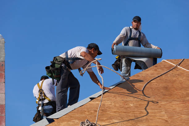 Best Gutter Installation and Roofing  in Tioga, ND