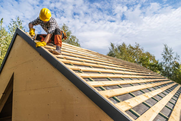Best Roof Gutter Cleaning  in Tioga, ND