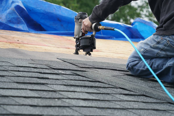Best Gutter Installation and Roofing  in Tioga, ND
