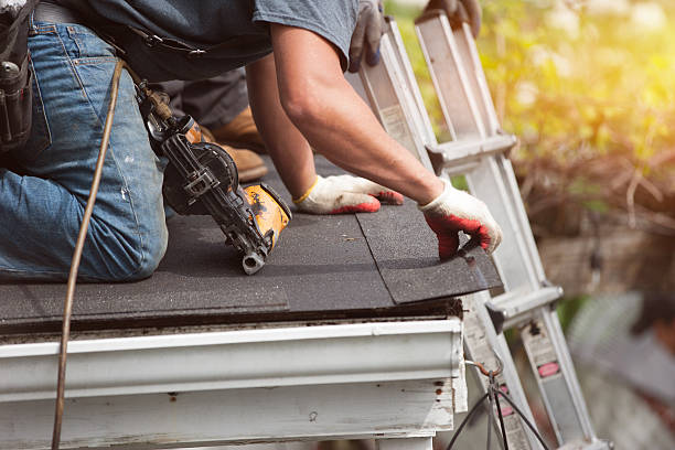Best Local Roofing Companies  in Tioga, ND